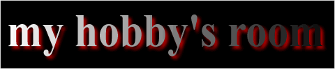 + B B S of my hobby's room +