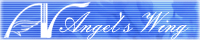 Angel'sWing`Vg̗`