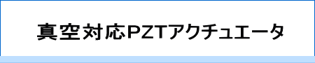 ＰＺＴ　名称