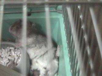 ����������񂩂�i�P�j