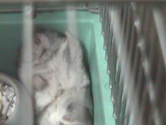 ����������񂩂�i�Q�j