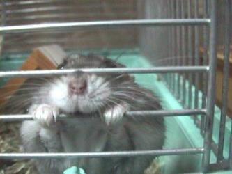 �����I���`