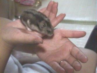 ������点