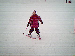 �ւ��ۂ��{�[�Q���̂����傤