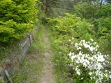 昇仙峡　弥三郎岳下山道