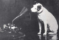 nipper-1.jpg