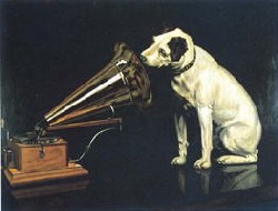 nipper-2.jpg